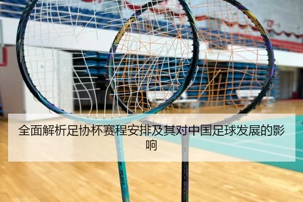 全面解析足协杯赛程安排及其对中国足球发展的影响